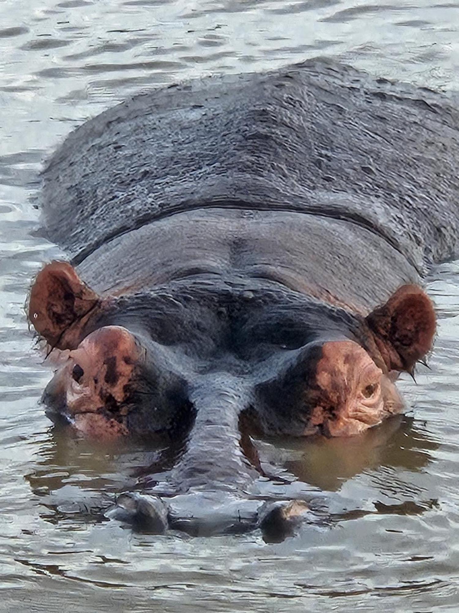 웨일송 게스트하우스 Saint Lucia Estuary 외부 사진